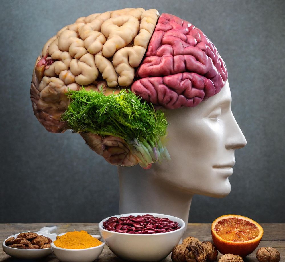 The Gut Brain Connection How Nutrition And Diet Influence Your Mental Health